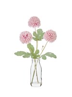 Kiku Milk Bottle 34cm Pink