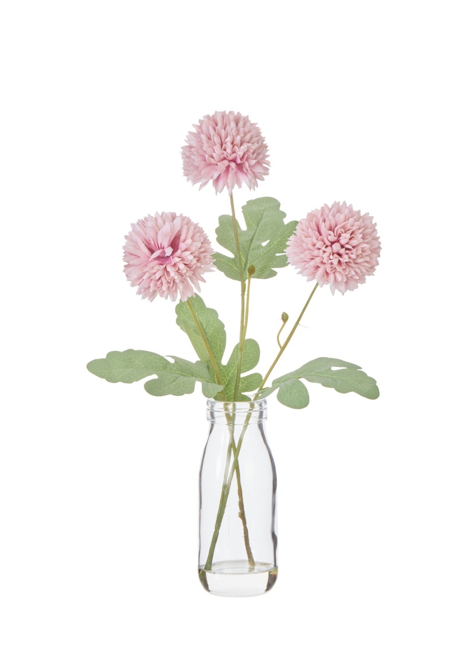 Kiku Milk Bottle 34cm Pink