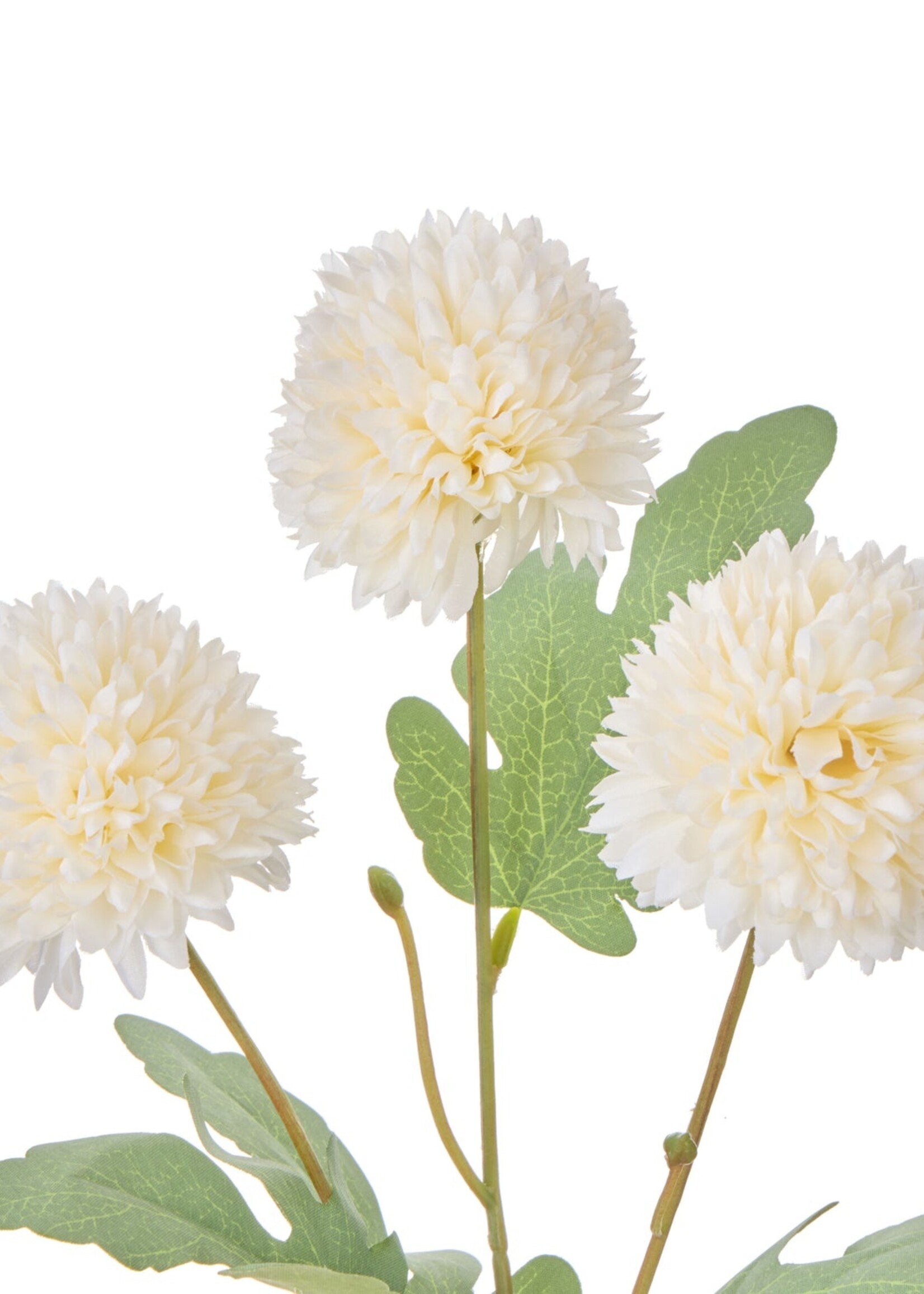 Kiku Milk Bottle 34cm Ivory