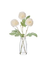 Isalbi Kiku Milk Bottle 34cm Ivory