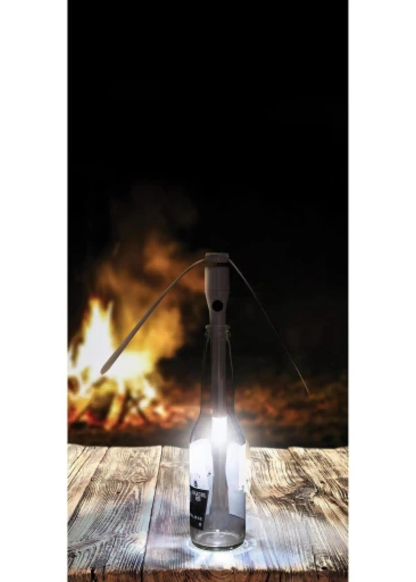 2 In 1 Fly Away & Light