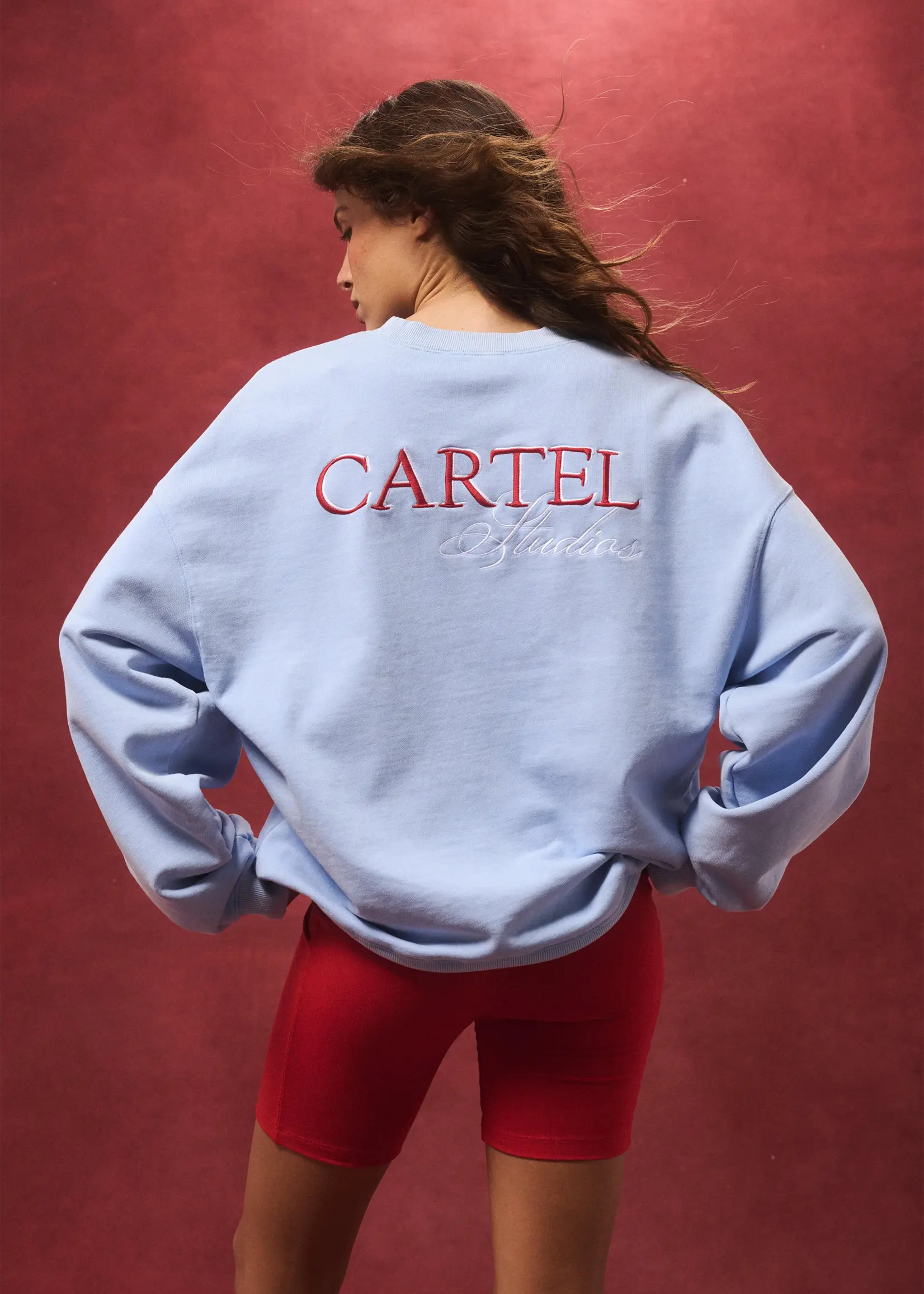 cartel and willow Nina Sweater