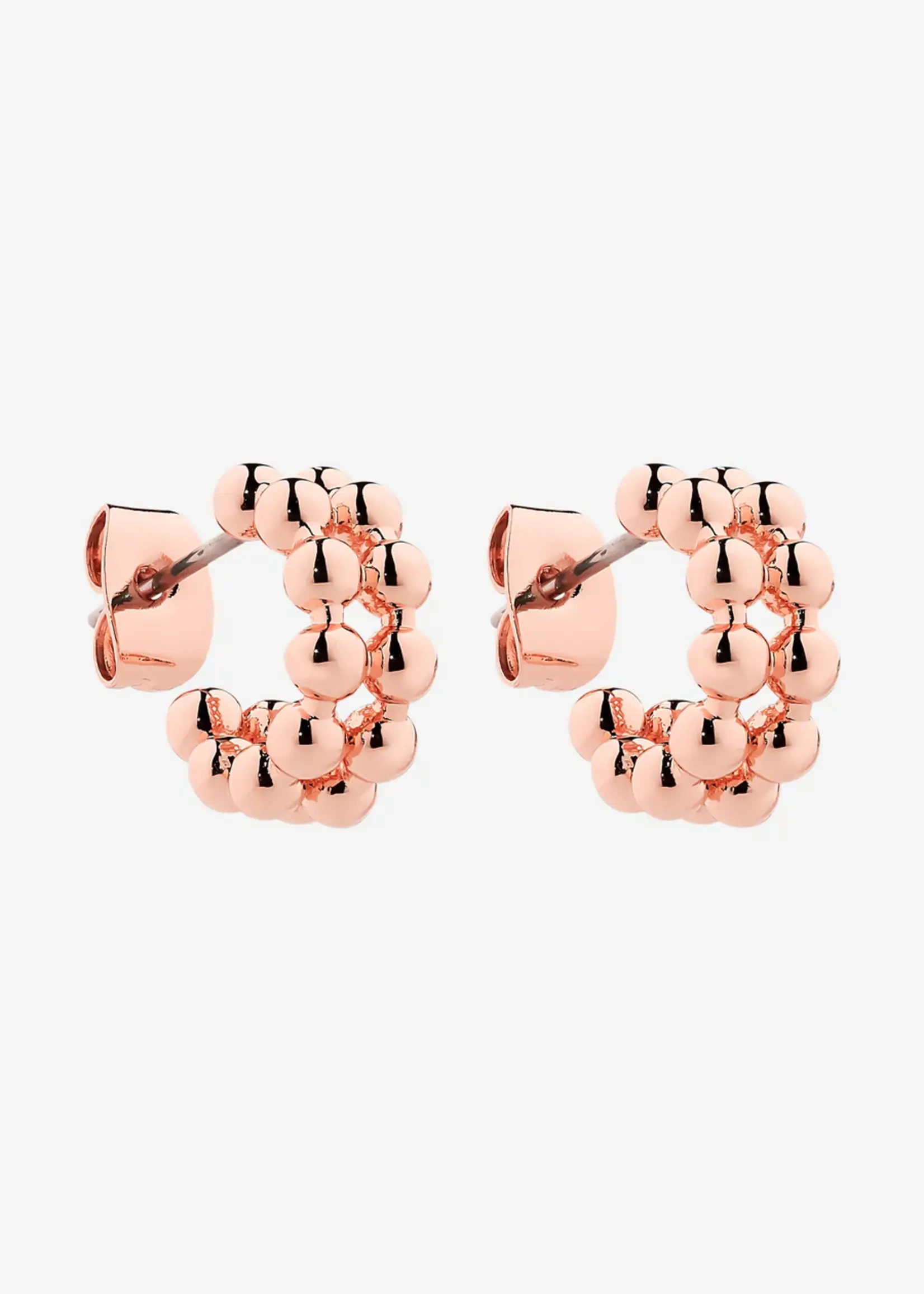 Liberte Holly Rose Gold Earring