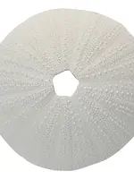 Sea Urchin Coral Resin Sculp 9x4.5cm