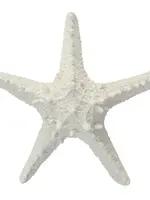 Syd Poly Starfish Resin Sculp 15x4cm