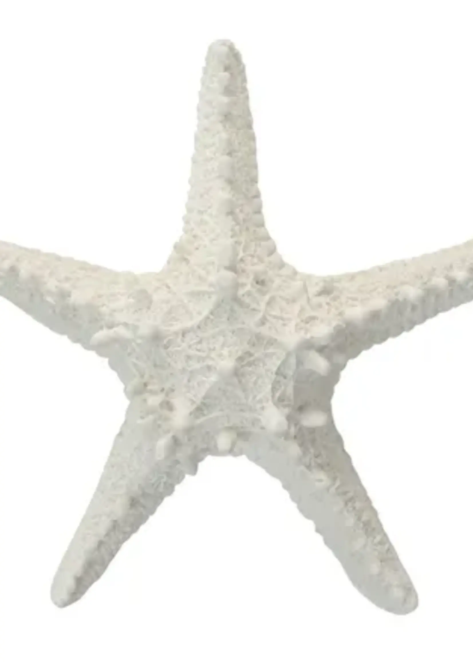 Syd Poly Starfish Resin Sculp 15x4cm