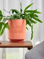 Annabel Trends Ceramic Planter - Plant Mumma