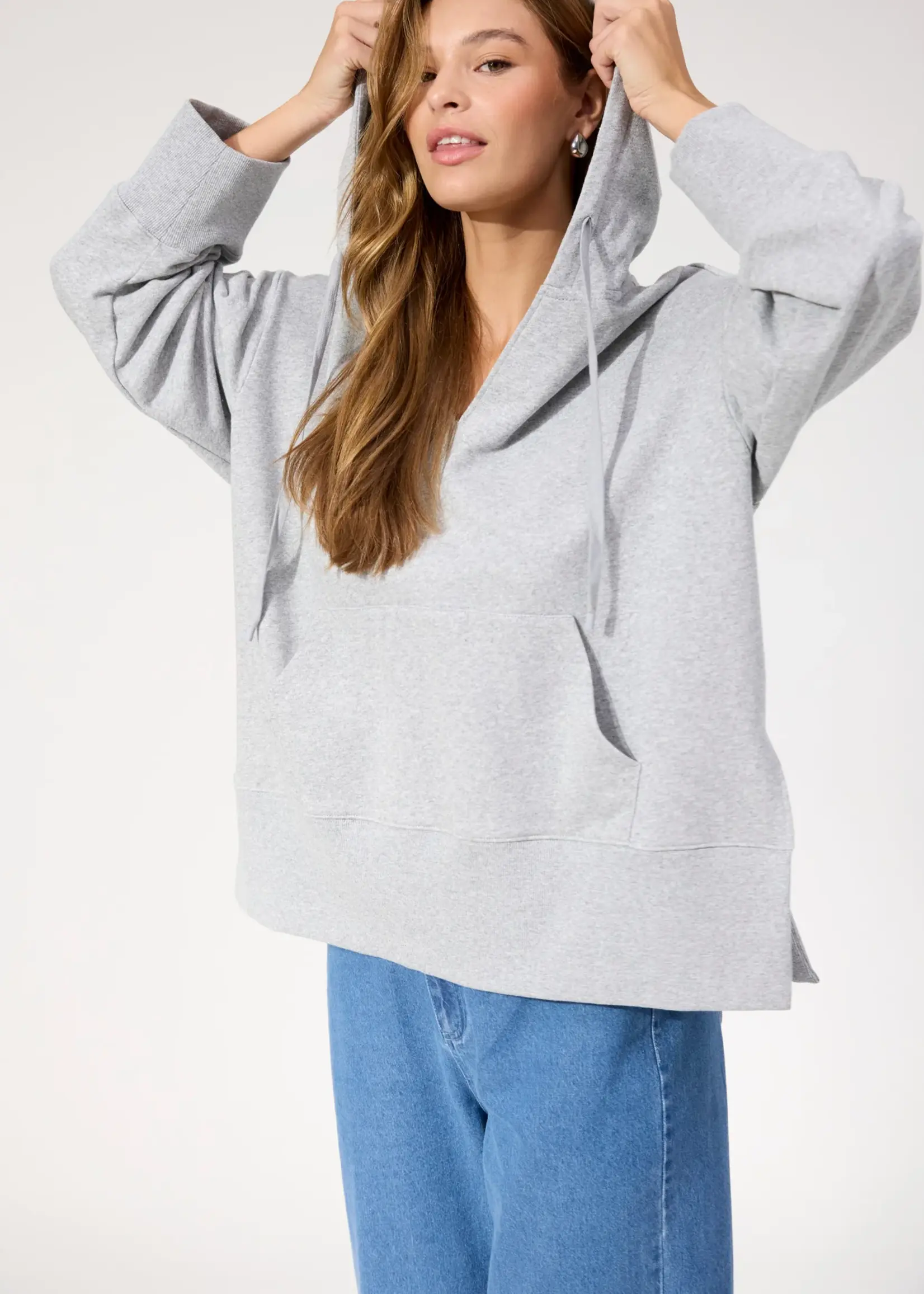 Haven Boston Sweat Hoodie - Grey