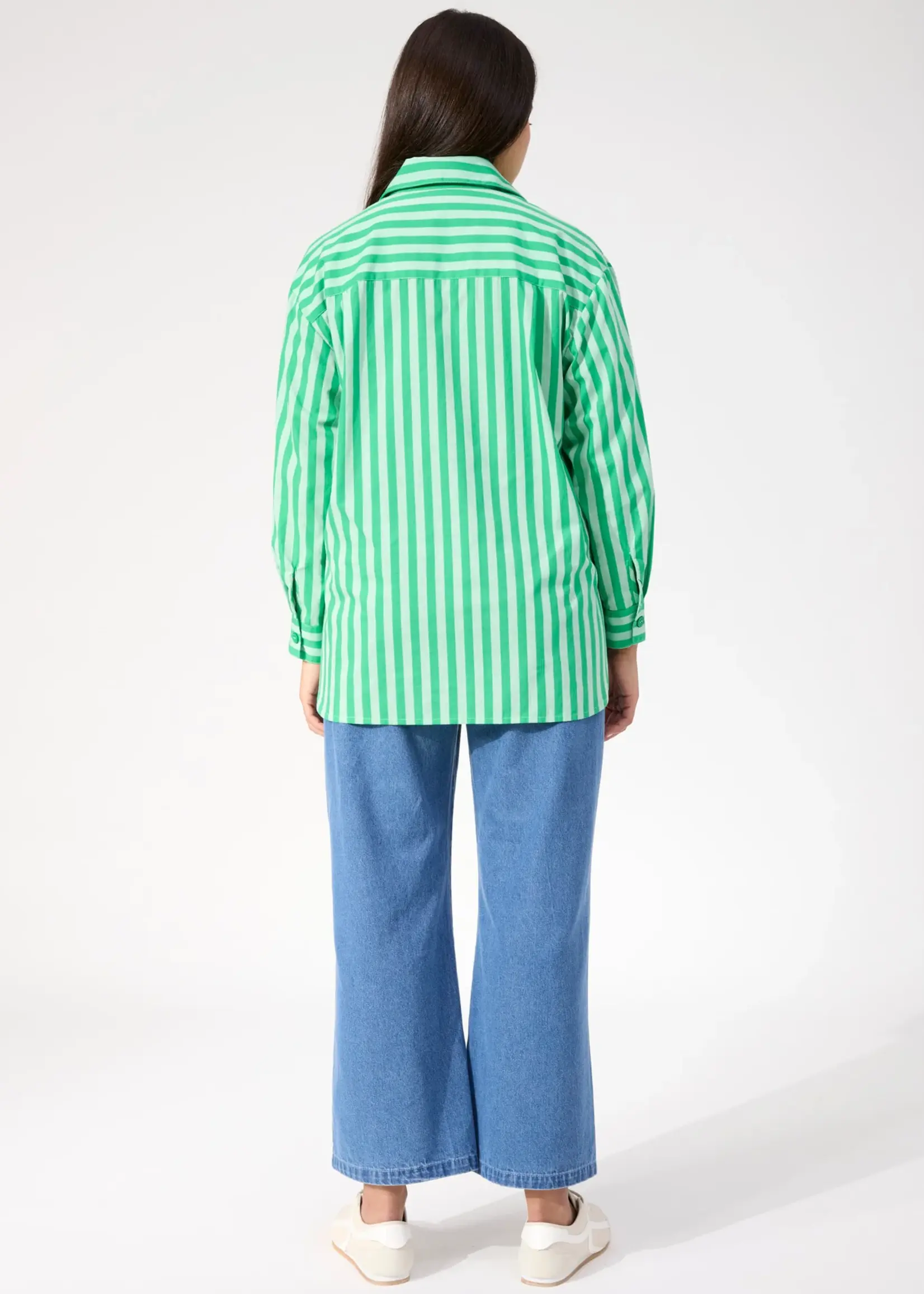 Haven Monterosa Stripe Shirt - Green