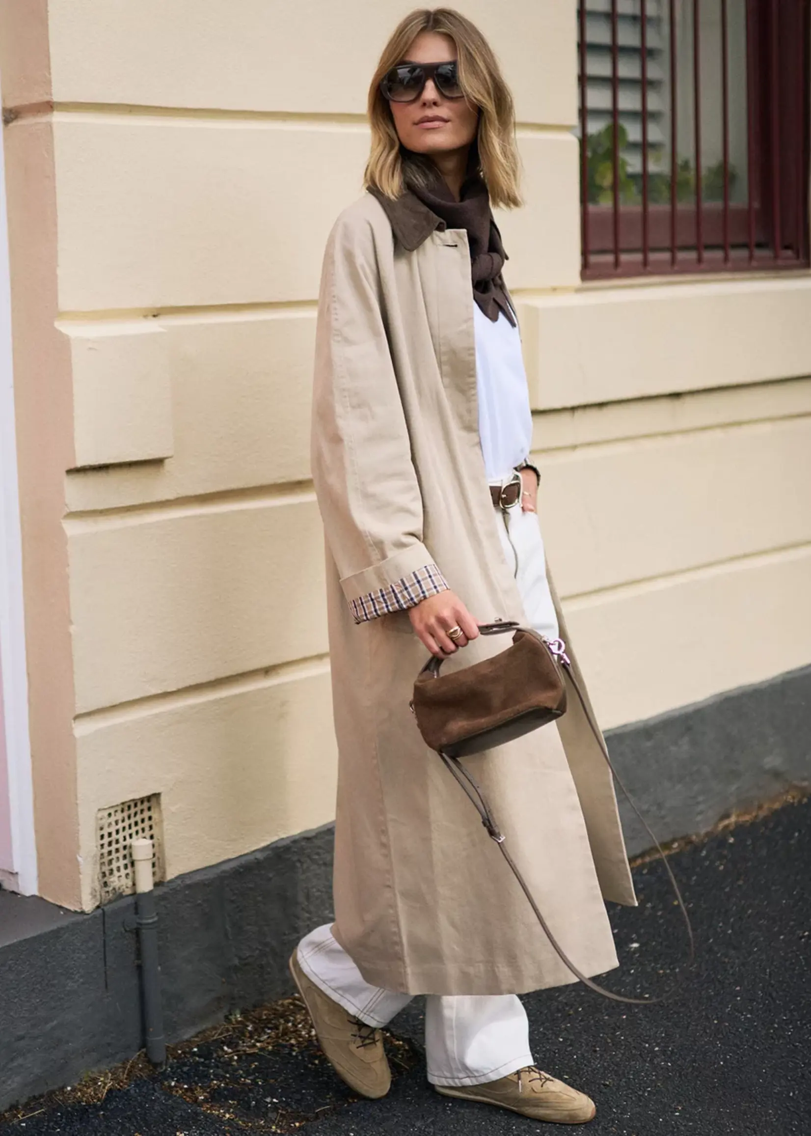 Ceres Life Ash Coat/Sand Chocolate Collar