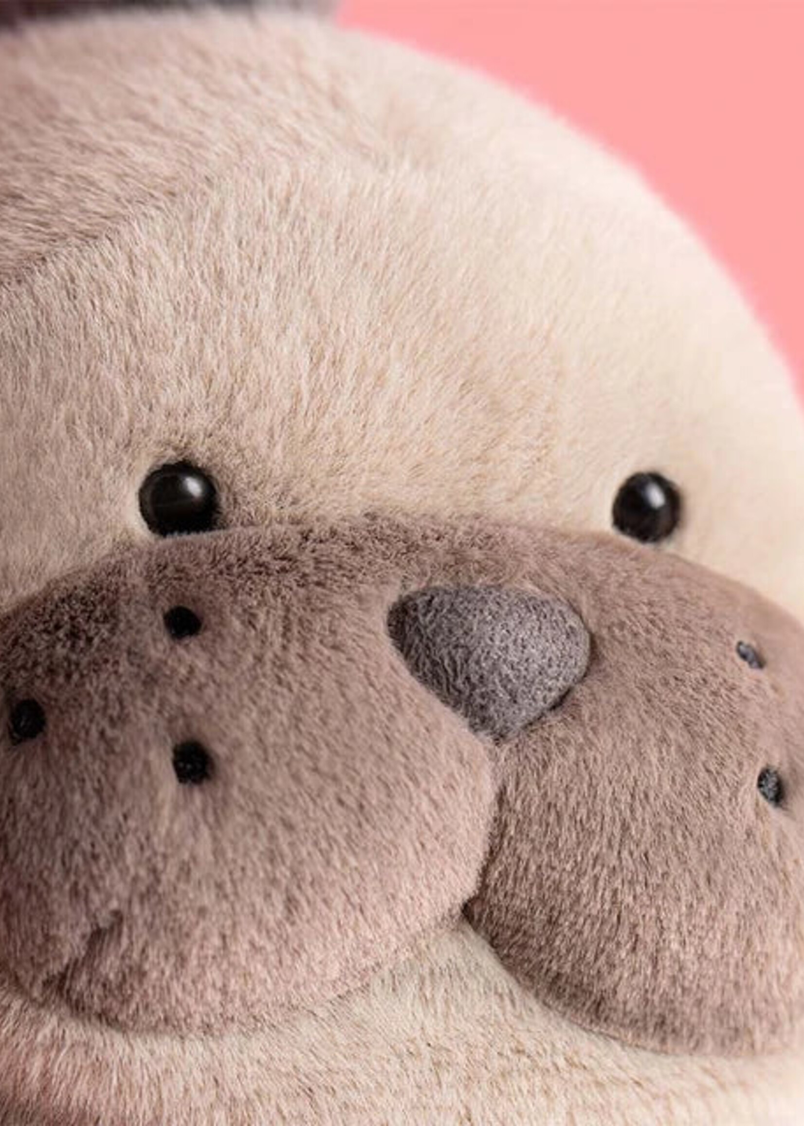 Jellycat Roarwell Sea Lion