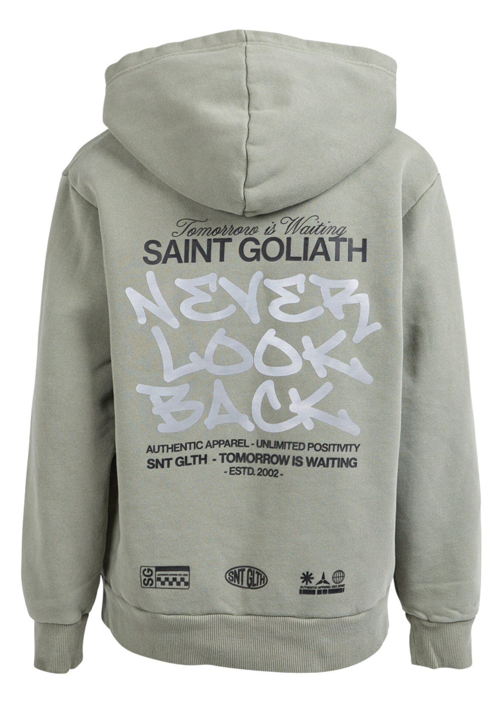 St Goliath Upside Hoodie