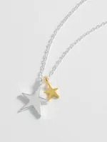 Two Tone Double Star