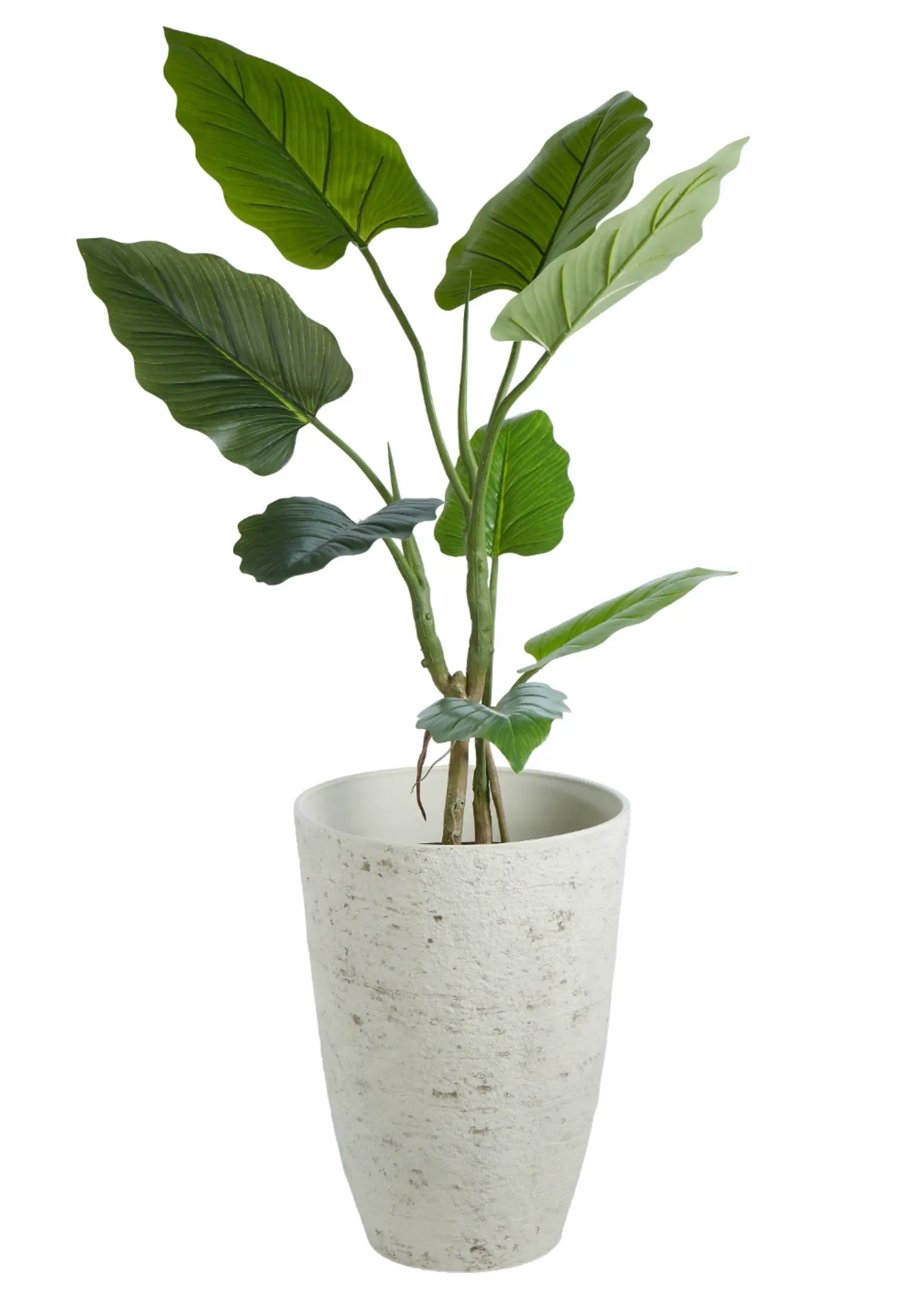 Isalbi Rustic Stone Look Tall Planter Pot