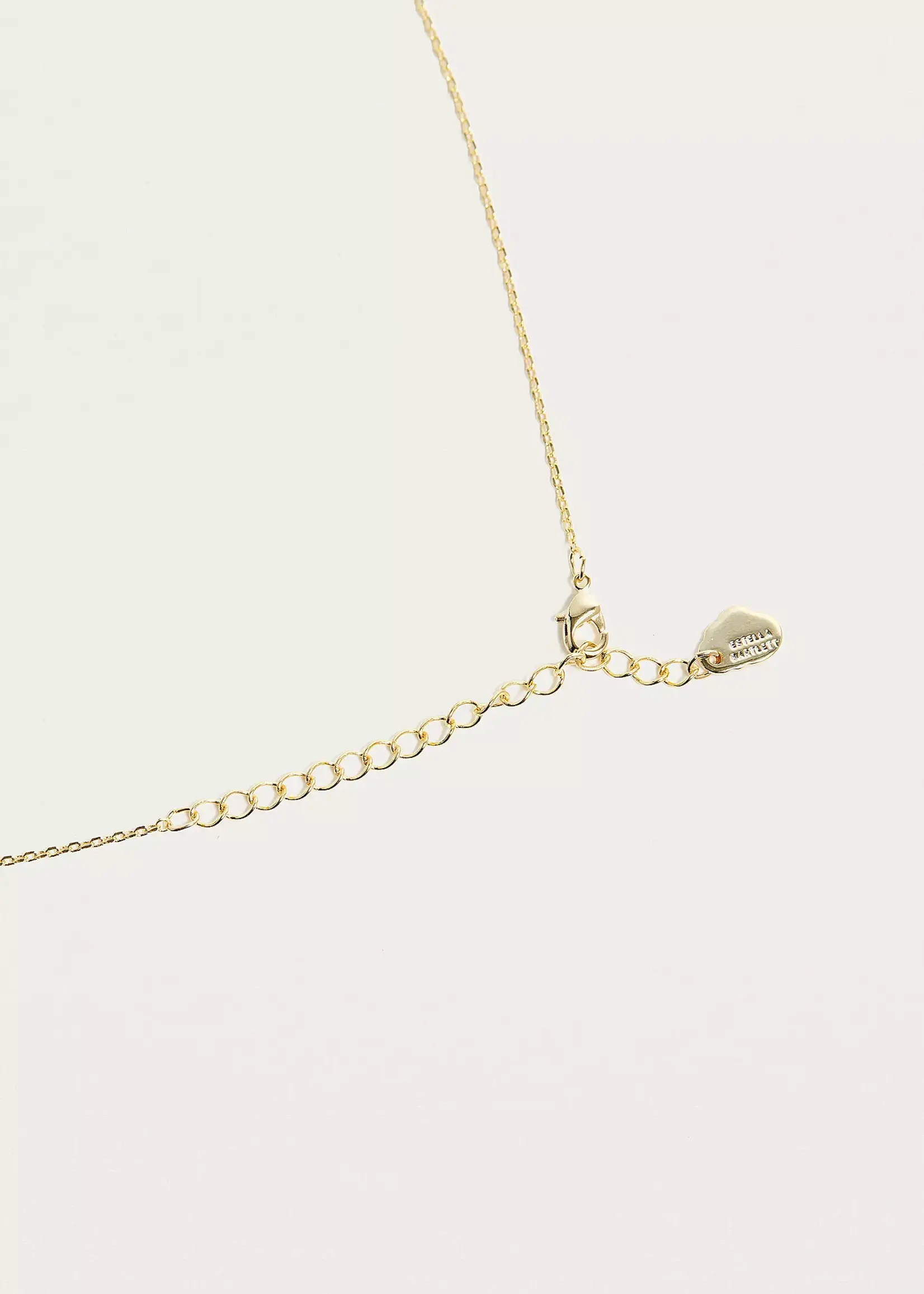 Dream Catcher Necklace
