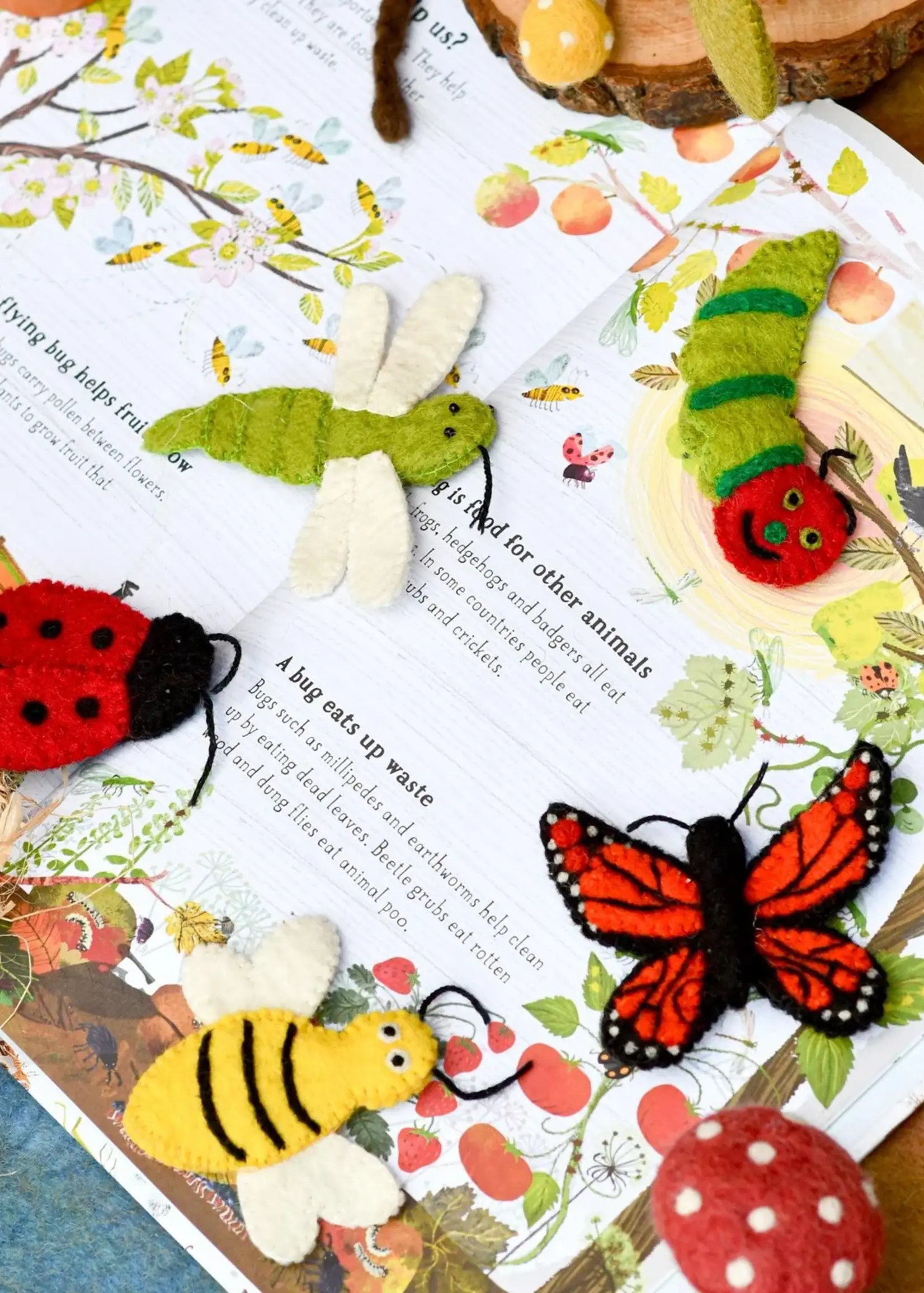 Insects and Bugs