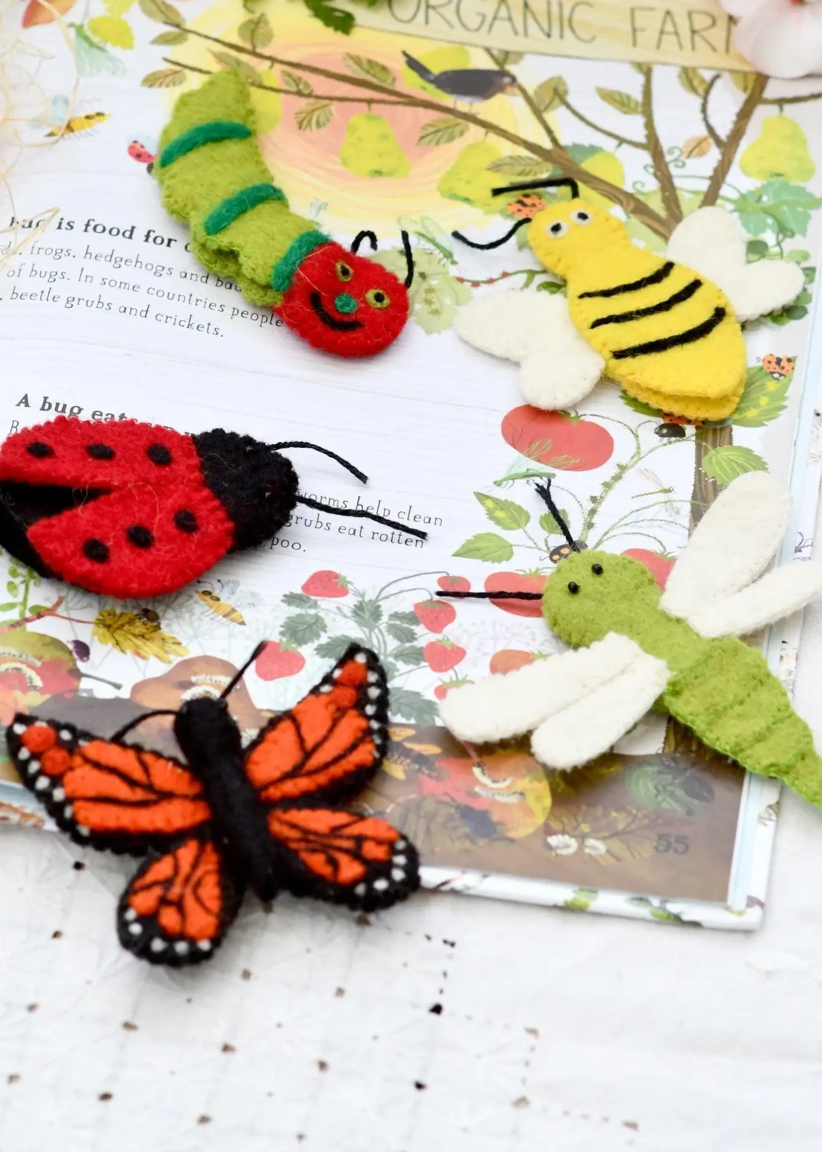 Insects and Bugs