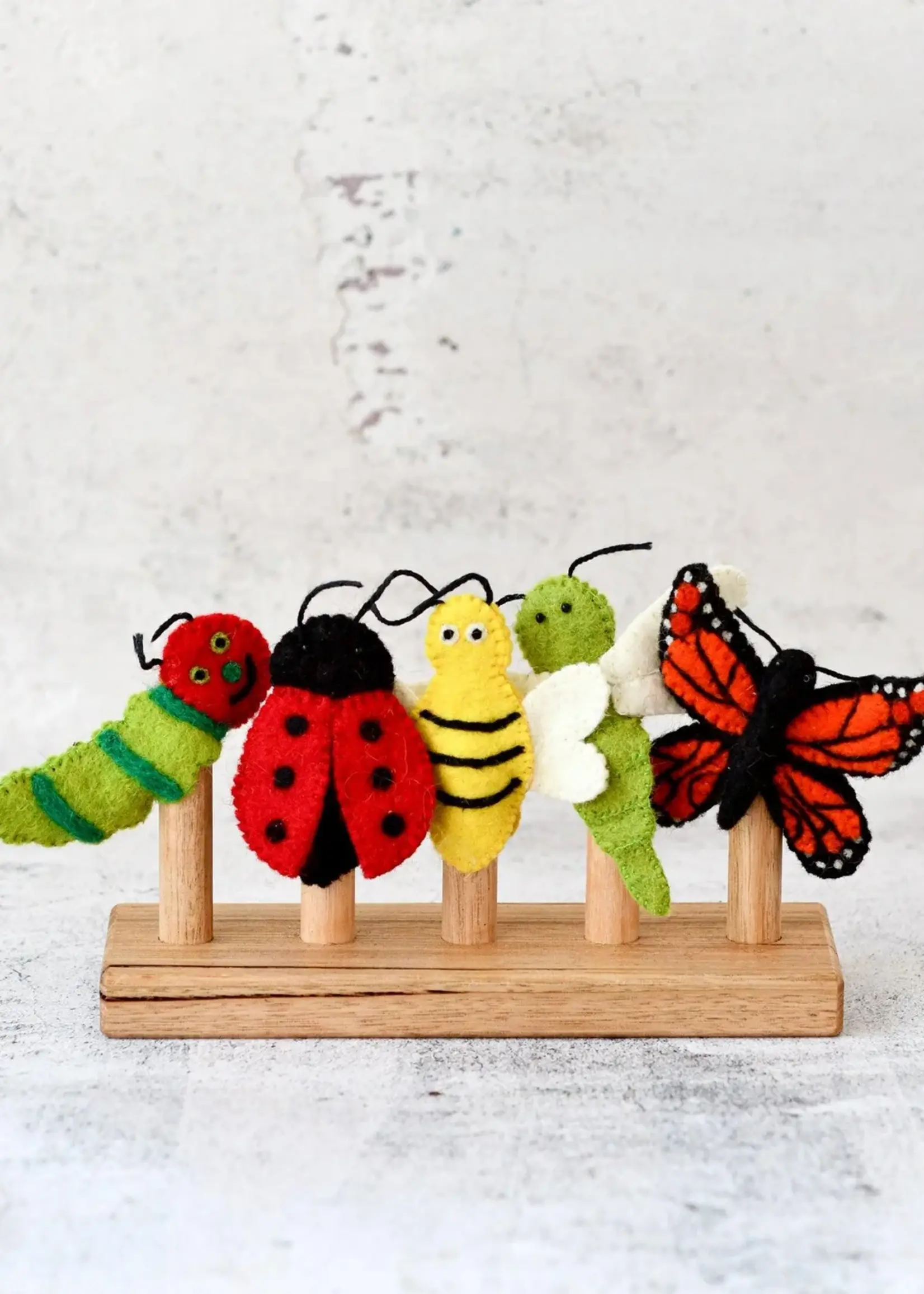 Insects and Bugs