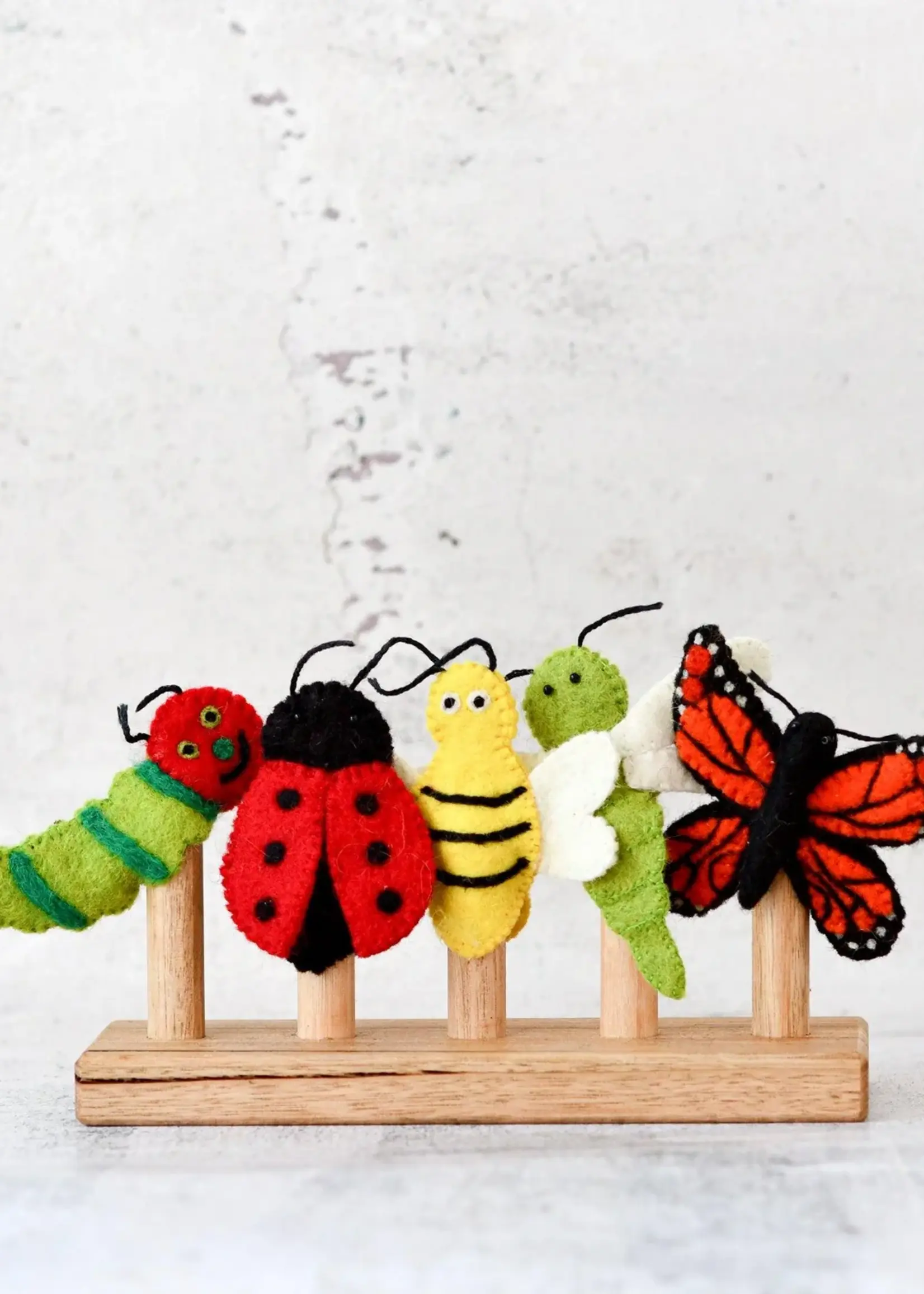 Insects and Bugs