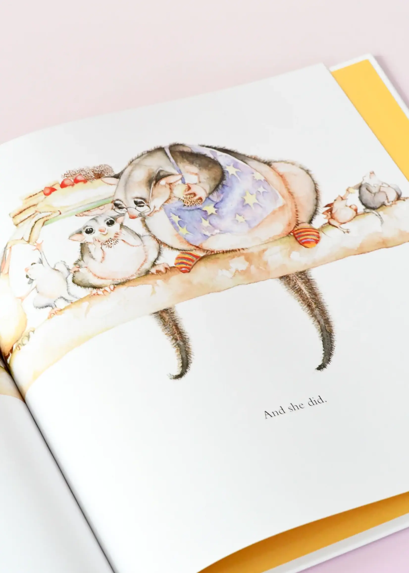 Possum Magic Book