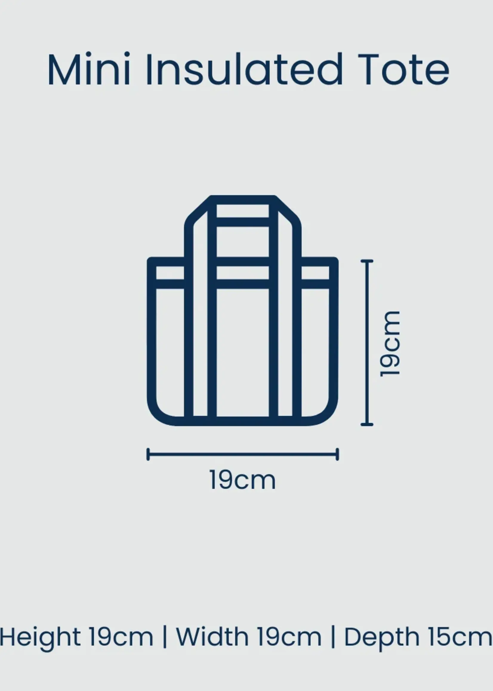 Project Ten Mini Insulated