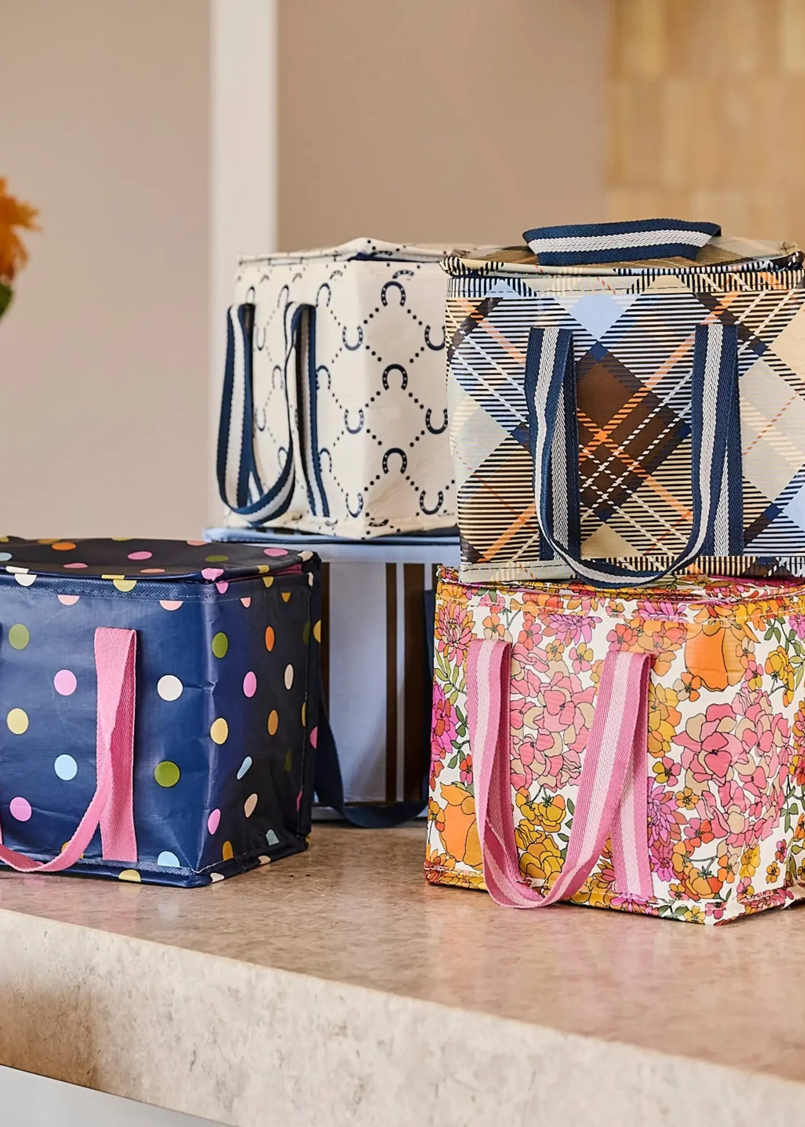 Project Ten Mini Insulated