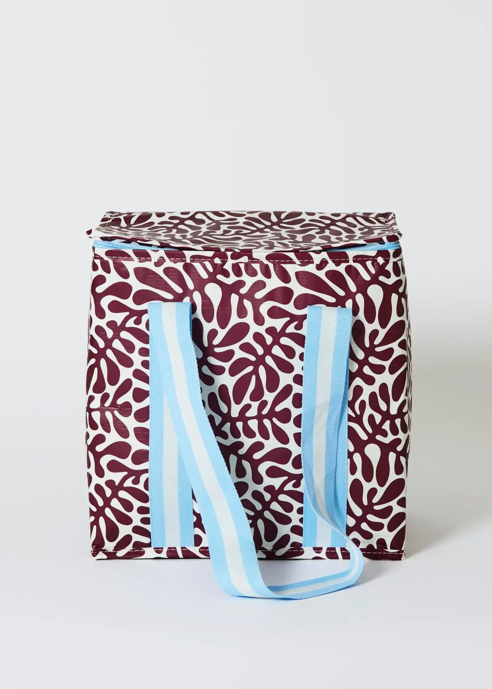 Project Ten Mini Insulated