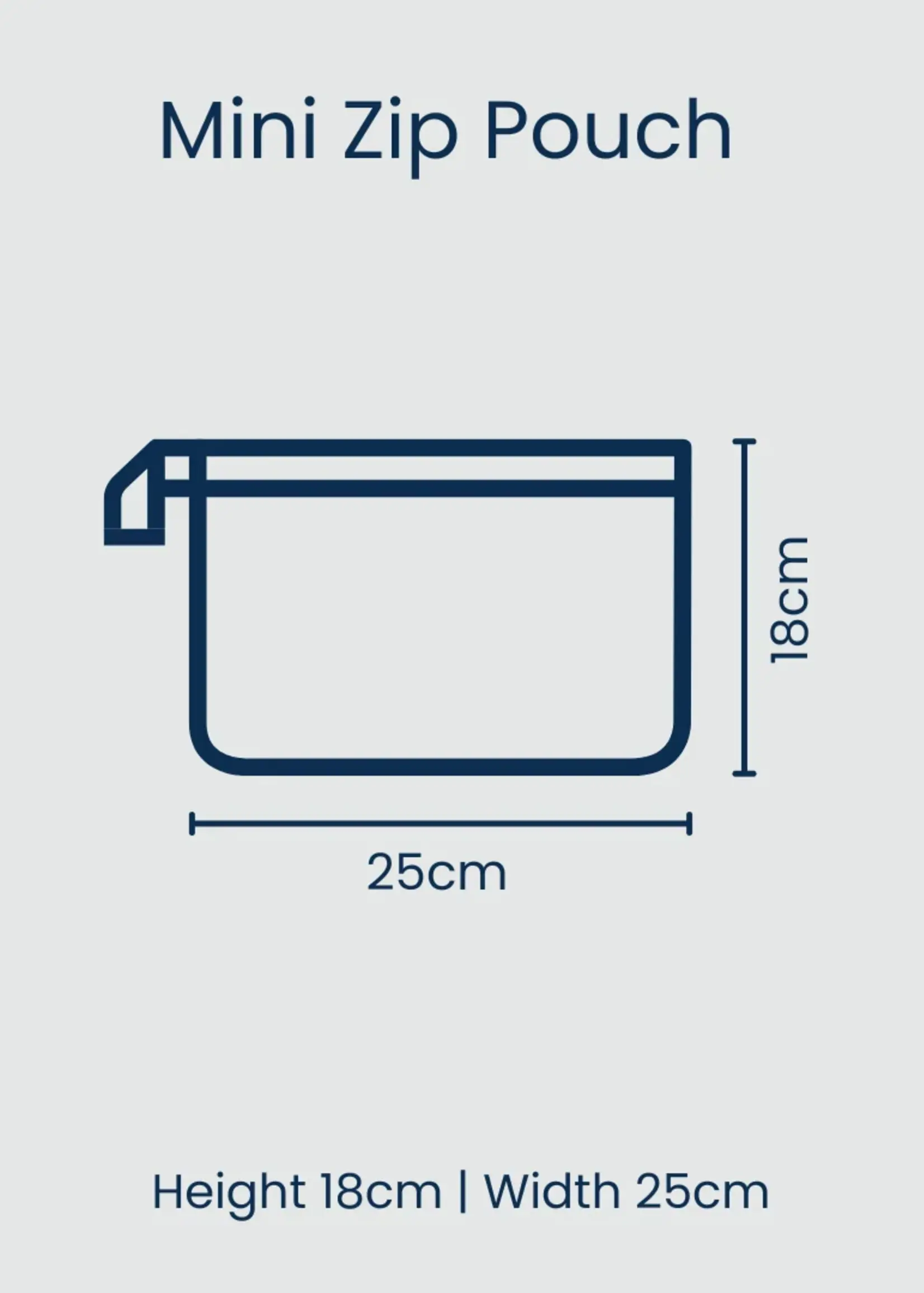 Project Ten Mini Zip Pouch