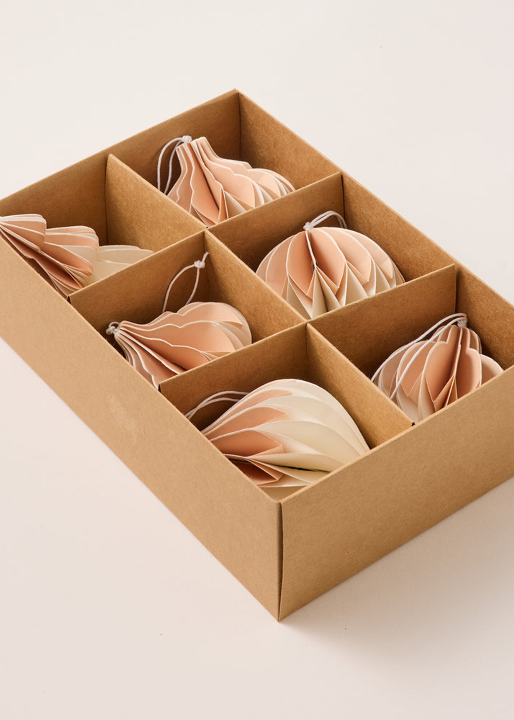 Madras Natalia Paper Blush/Cream Assorted