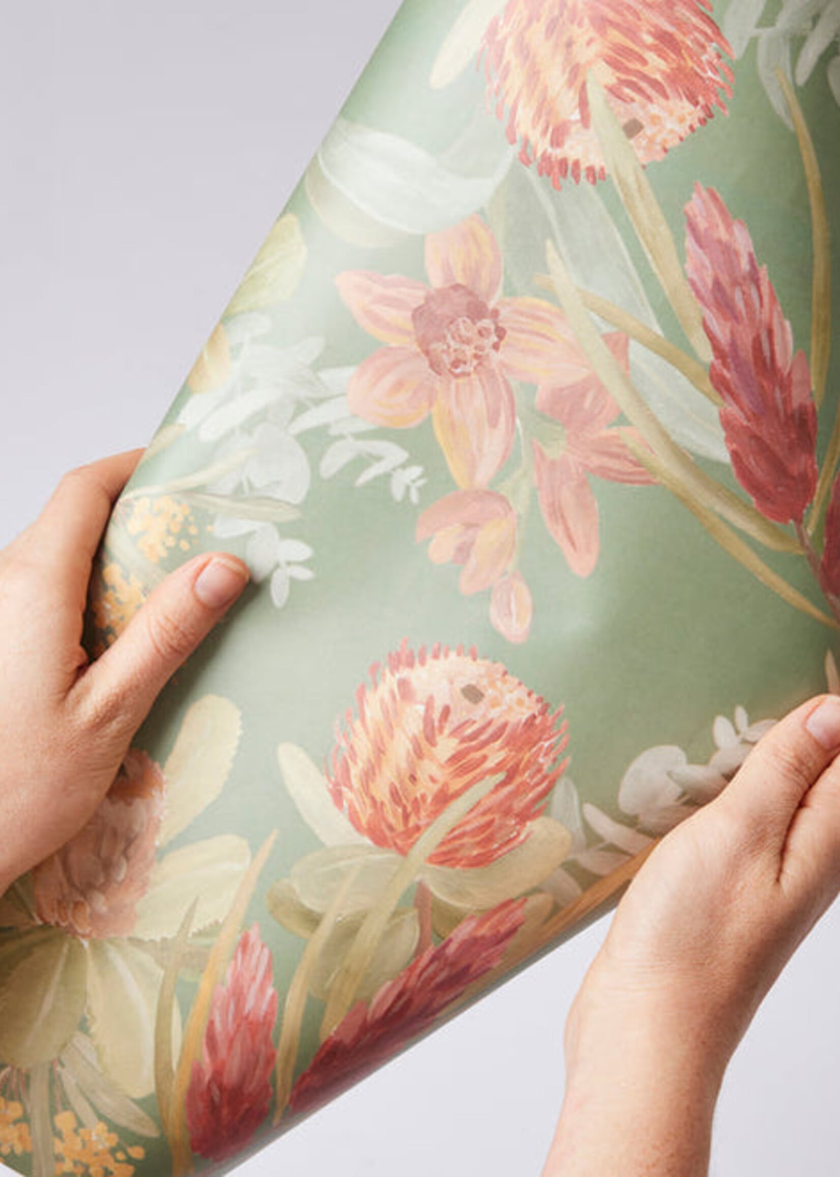 Madras Sanders Wrapping Paper Roll