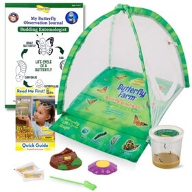 Insect Lore Butterfly Farm