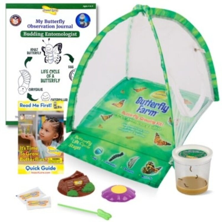 Insect Lore Butterfly Farm