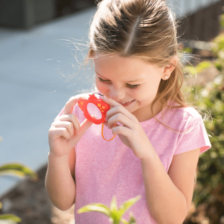 Insect Lore Mini Mag Butterfly