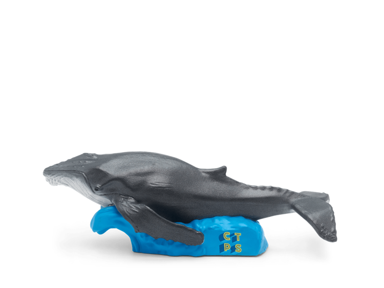 Tonies Tonie | Nat Geo  Whale