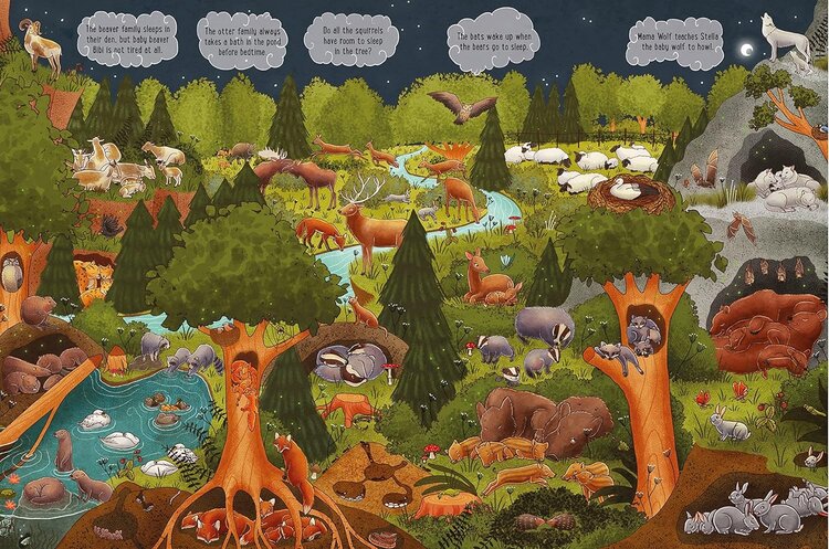 Workman Publishing My Big Wimmelbook | Good Night