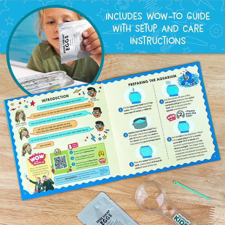 Thames & Kosmos Wow in the World | Sea Creatures Aquarium