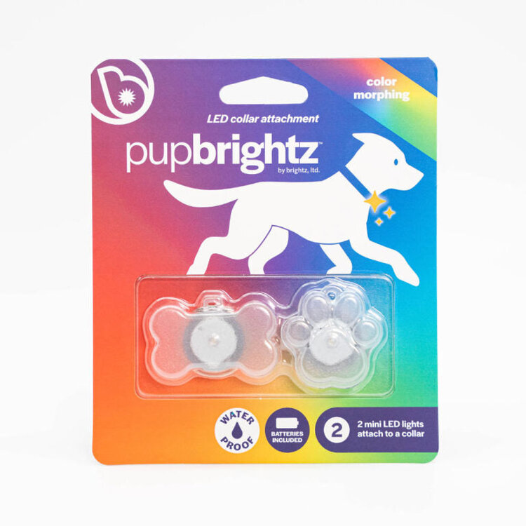 Brightz Pup Brightz |  Paw & Bone