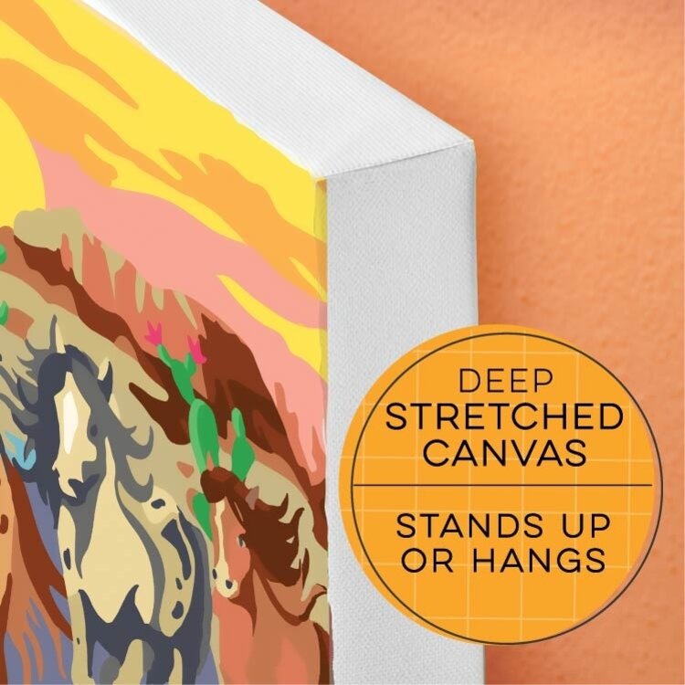 Bright Stripes Paint By Numbers | Wild Horses