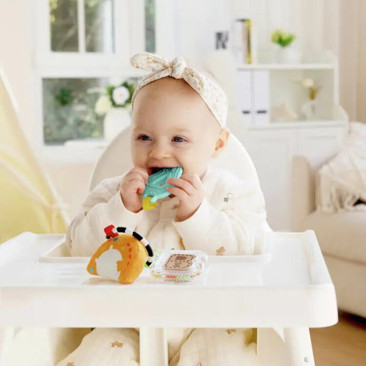 Hape Sensory ABCs Playset