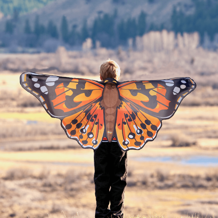 Insect Lore Painted Lady Butterfly Wings