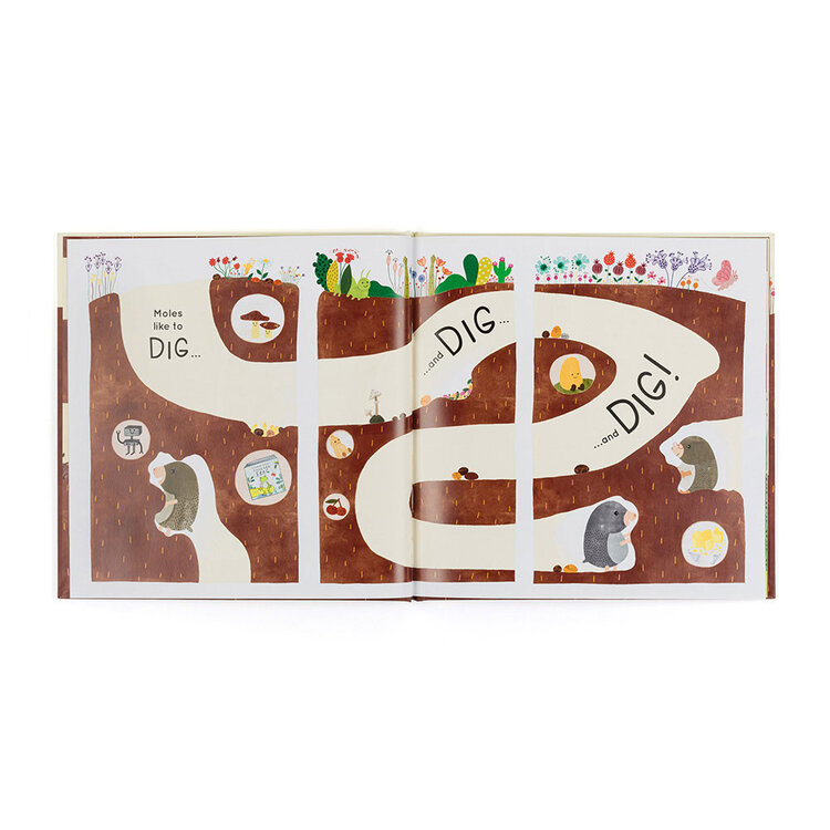Jellycat Muswell Mole and the Buried Treasure