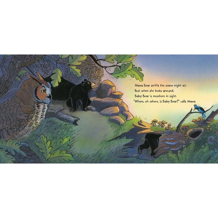 Simon & Schuster Where, Oh Where, is Baby Bear?