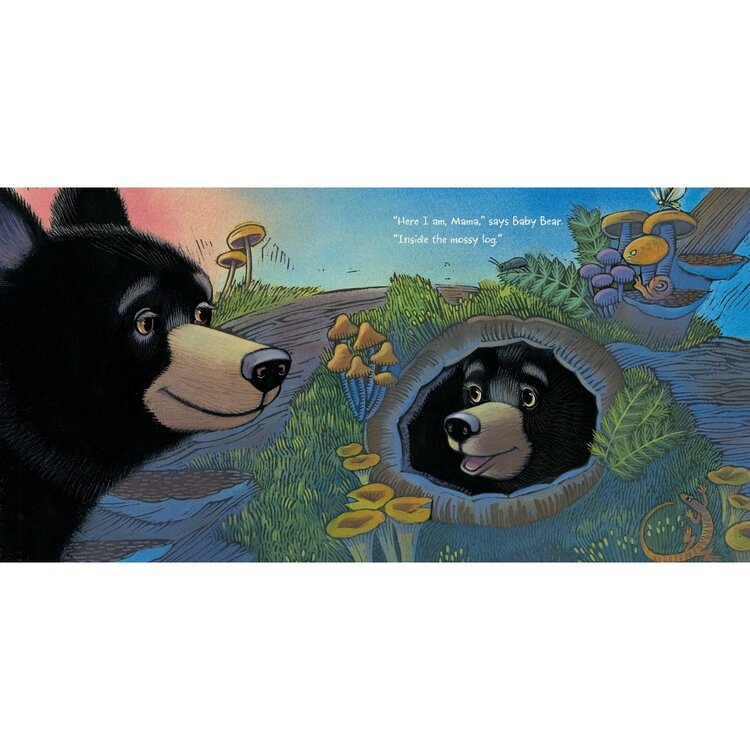 Simon & Schuster Where, Oh Where, is Baby Bear?