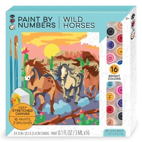 Bright Stripes Paint By Numbers | Wild Horses