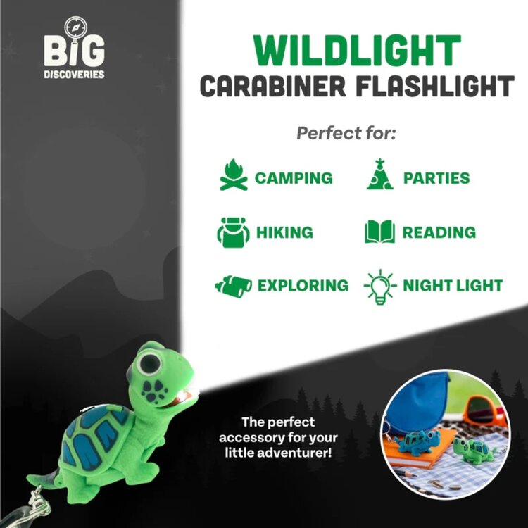 Wild Discoveries Wildlight Turtle | Green