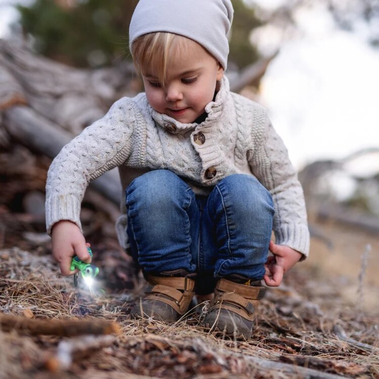 Wild Discoveries Wildlight Turtle | Green