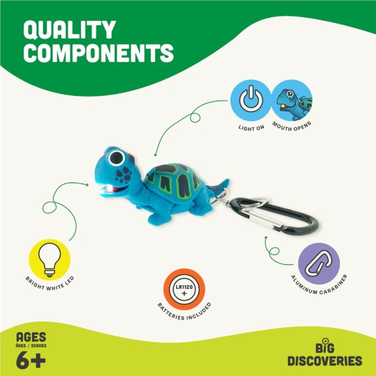 Wild Discoveries Wildlight Turtle | Green