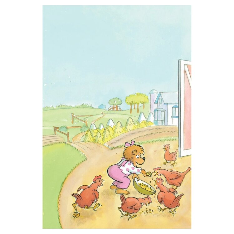 HarperCollins Berenstain Bears | The Shaggy Little Pony