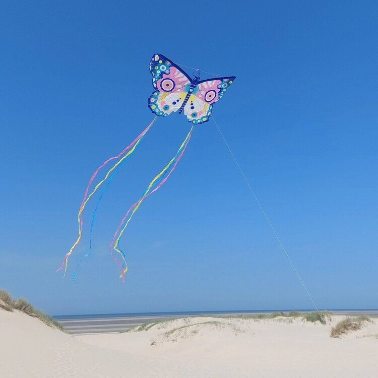DJECO Kite | Maxi Butterfly