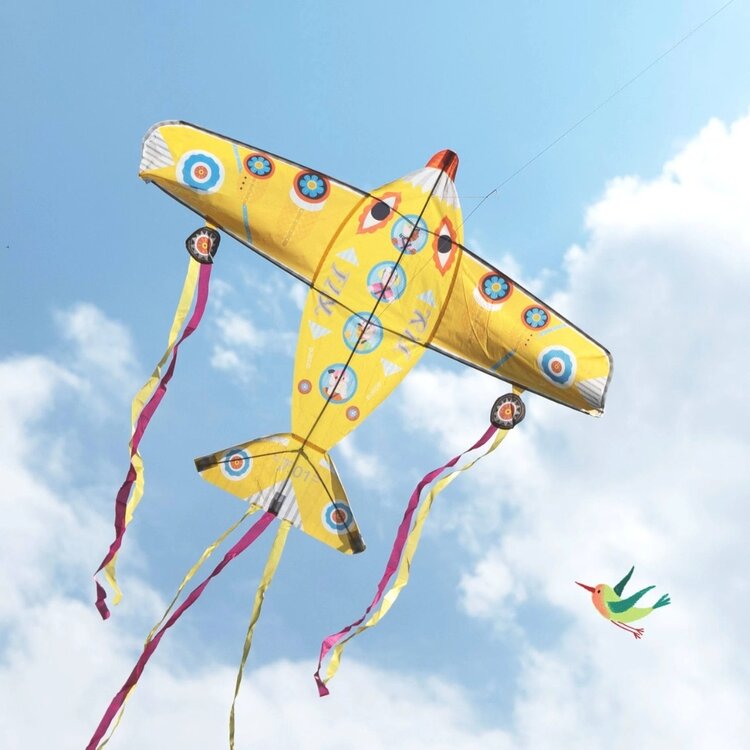 DJECO Kite | Maxi Plane